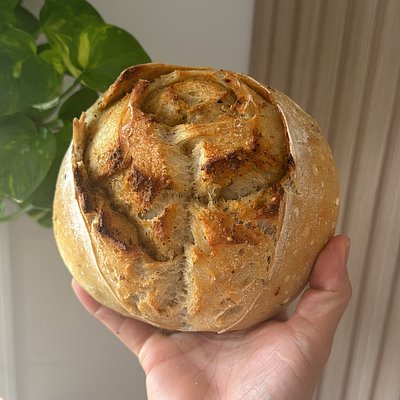 Garlic & Herb Organic Sourdough 