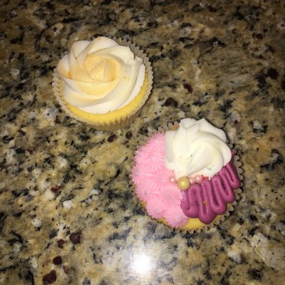 12 Count Cupcake 