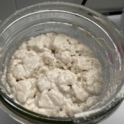 Organic Sourdough Starter Live 
