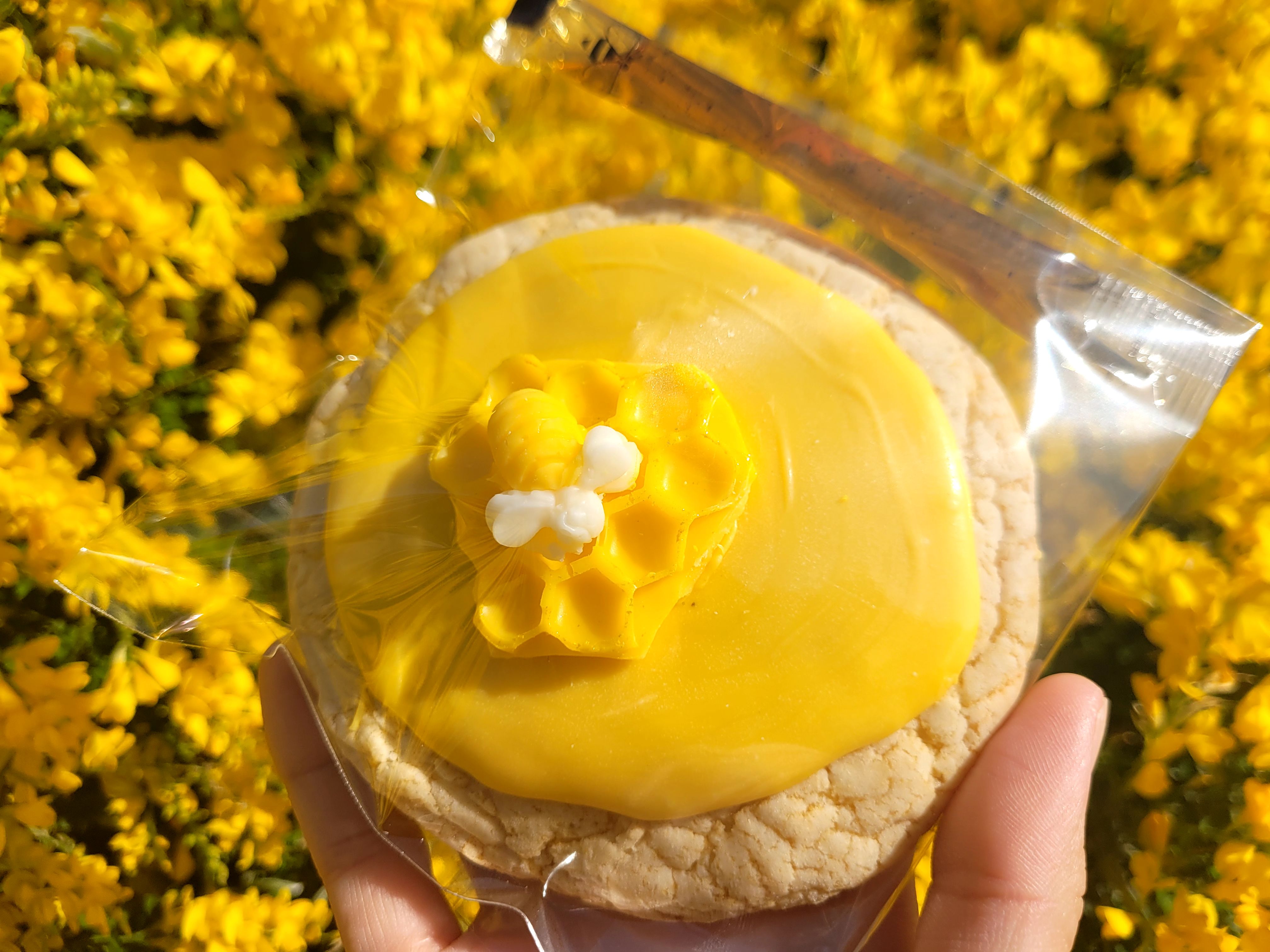 Sweet Honey Cookie