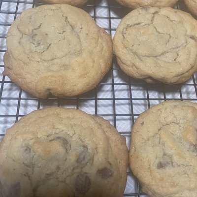 Chocolate Chip 
