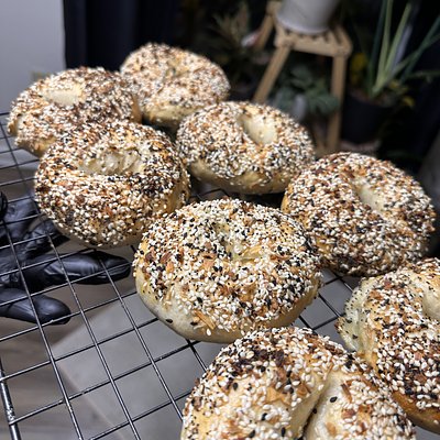 Sourdough Everything Bagels 