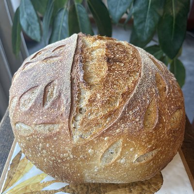Sourdough Boule (round loaf)