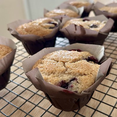 Blueberry Muffins -Large