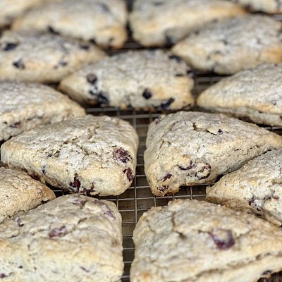 SD Sugar Scones Cranberry Orange 6 ct