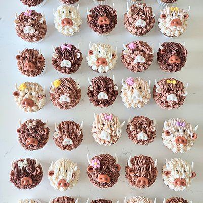 Custom Cupcakes 