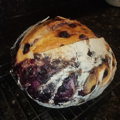 Blueberry 