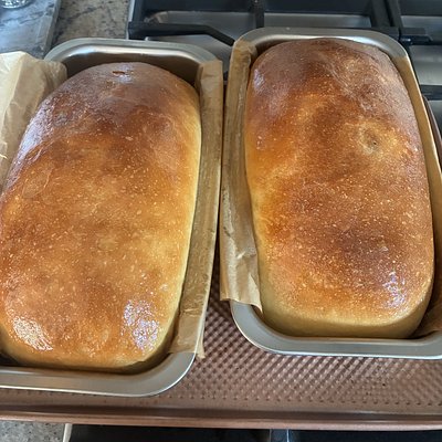 Sourdough Soft Sandwich Bread, 2 Loaves 