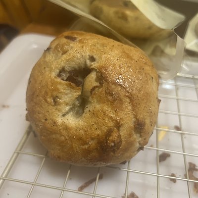 Cranberry Walnut Bagel