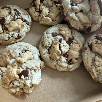 teddy bear smores 🧸🤎🍪