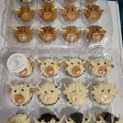 Decorated Cupcakes