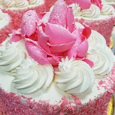 Pink Champagne Cake 