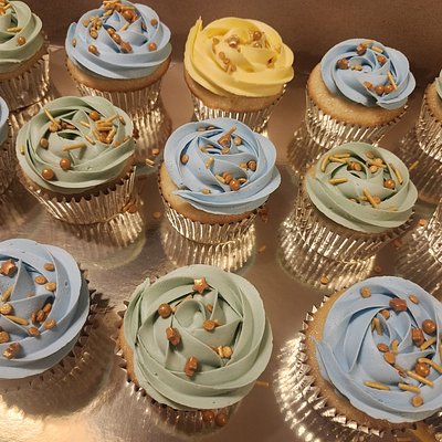 Chocolate Cupcakes