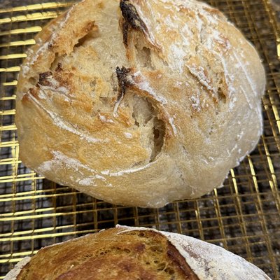 Plain Sourdough Boules