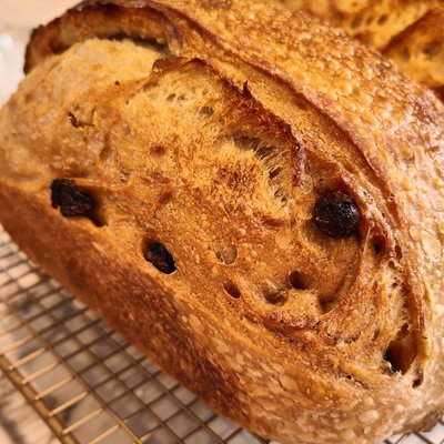 Cinnamon Raisin Sourdough 
