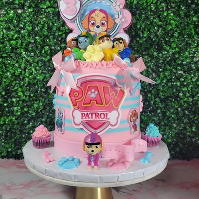 Paw Patrol 15-20 Servings 