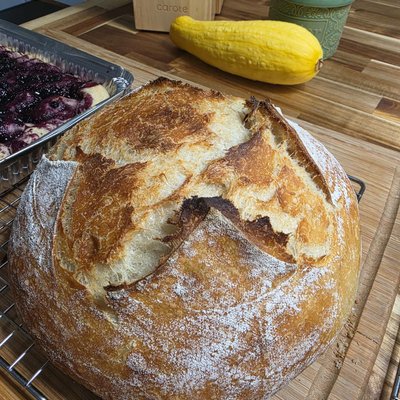 Sourdough Artisan Bread (Plain)
