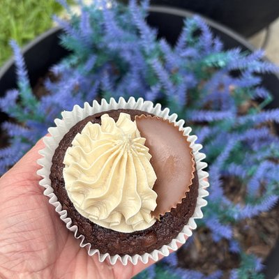 Specialty Filled “Jumbo” Cupcake 