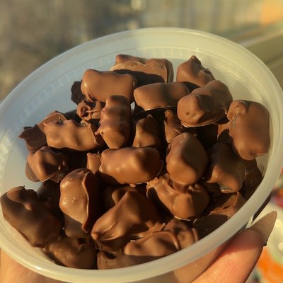Chocolate covered gummy bears