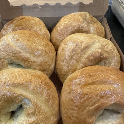Organic Plain Bagel - 1/2 Dozen