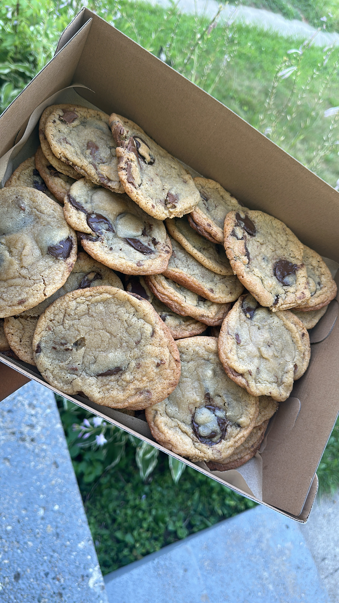 Chocolate Chip Cookies 