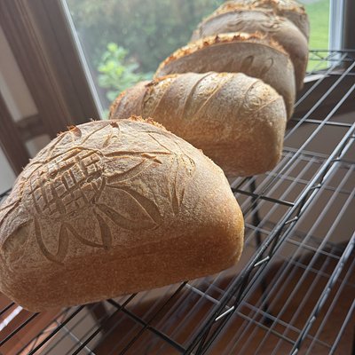 Whole Wheat Sourdough