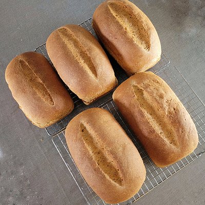 Honey Whole Wheat Bread