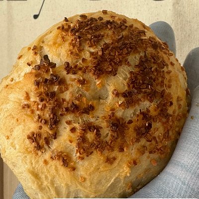  Onion Sourdough Bagel 