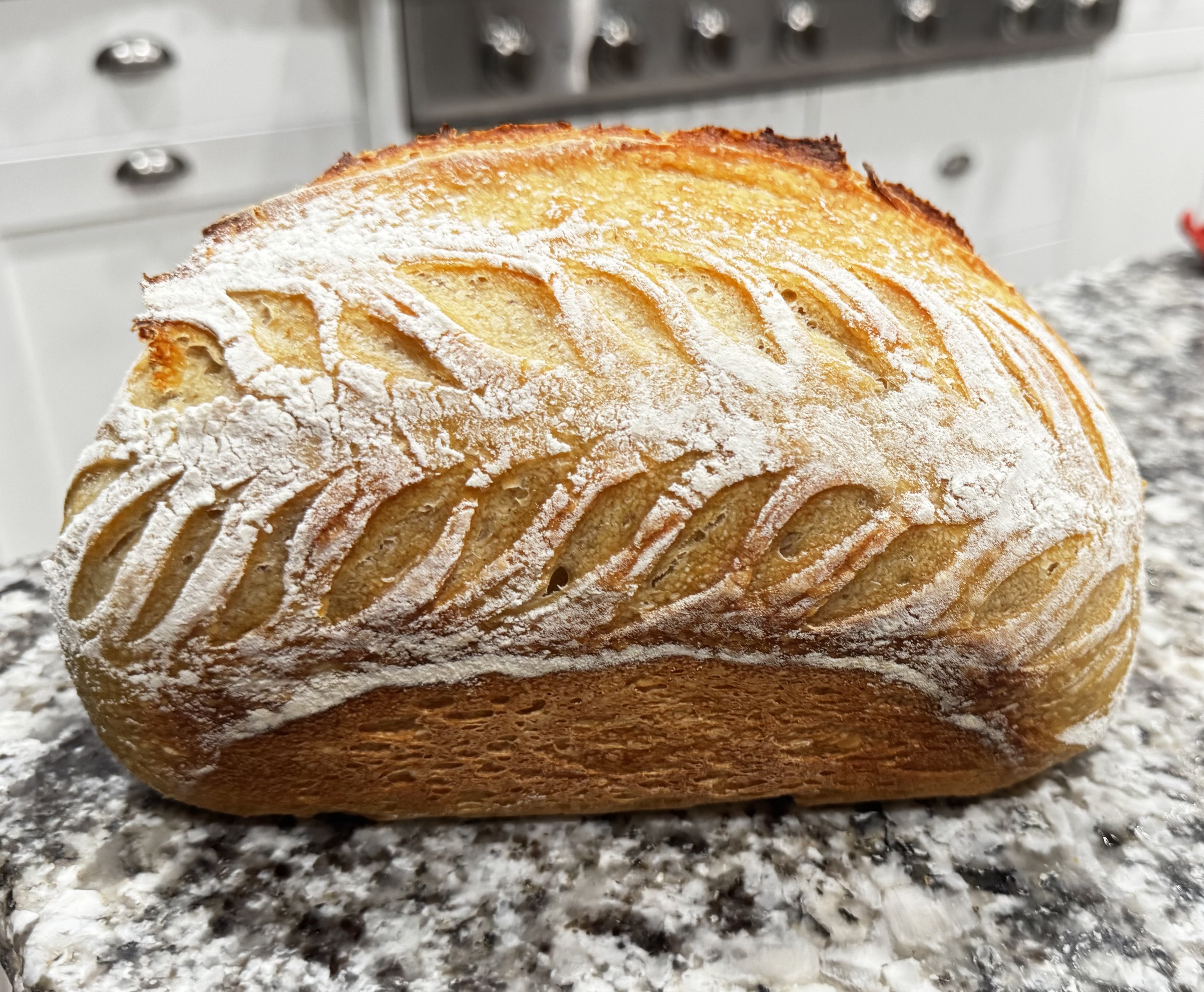 Sourdough Bread - Plain
