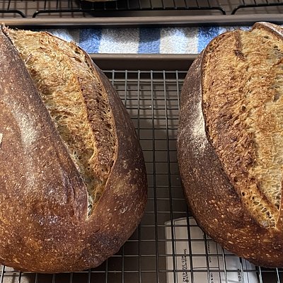 Whole Wheat Blended 