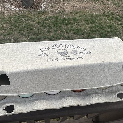 Farm Fresh Eggs