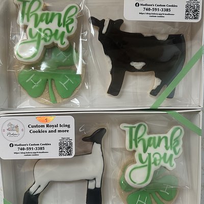 Fair 3 Pack