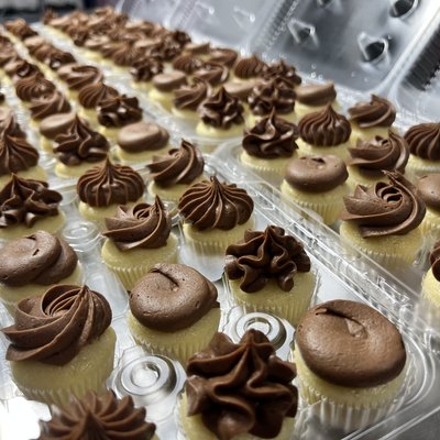 Mini Cupcakes