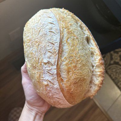 Classic White Sourdough
