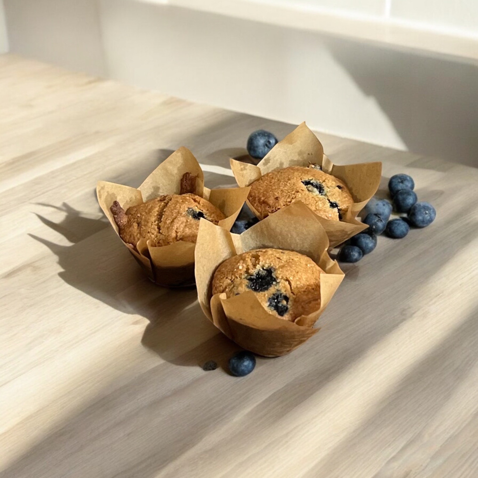 Blueberry Muffins 