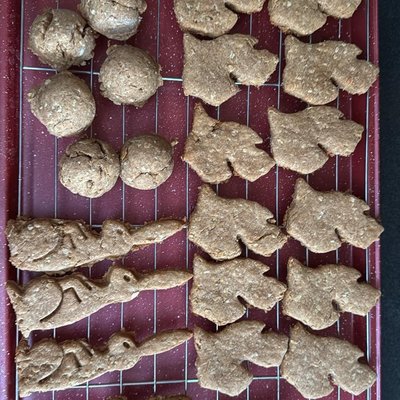 Homemade Dog Treats