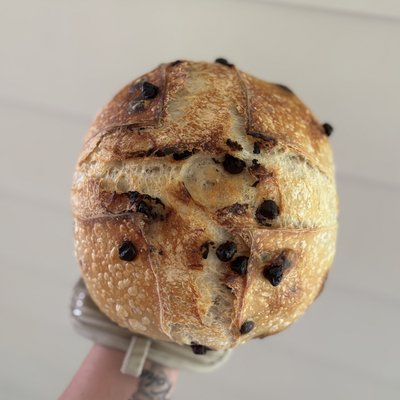 Chocolate Chip