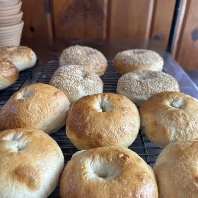 Sesame Bagels (4)
