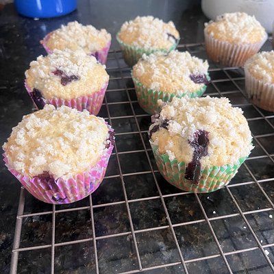 Blueberry Crumb Sourdough Muffins