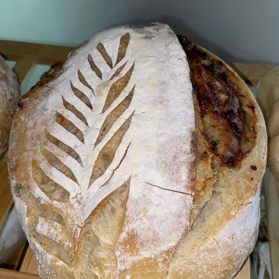 Caramelized Onion & Asiago Sourdough
