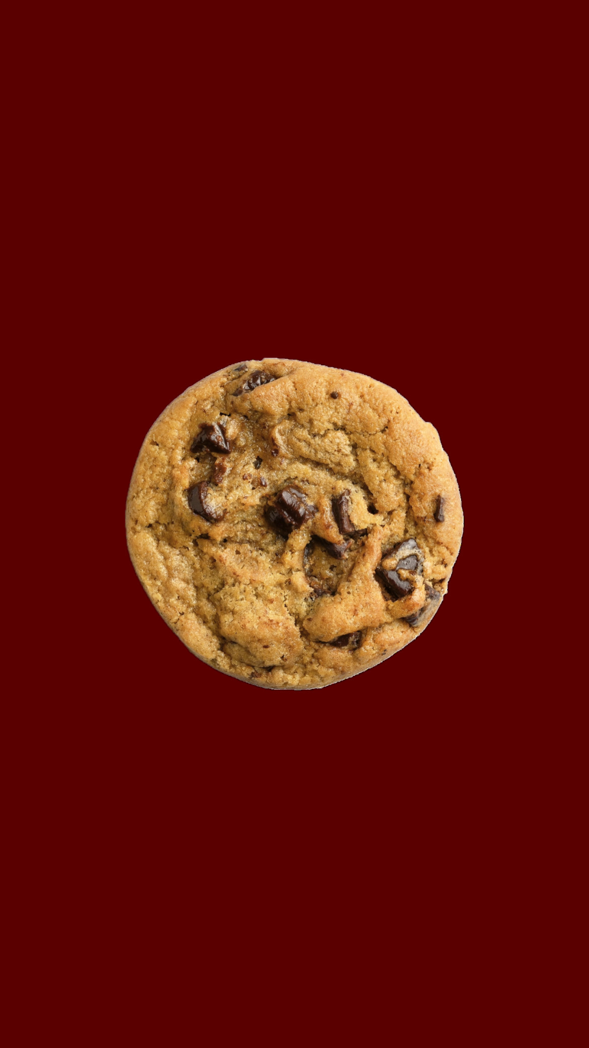 JOJO’s Choco Chip 