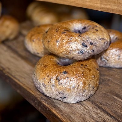 Blueberry Sourdough Bagels