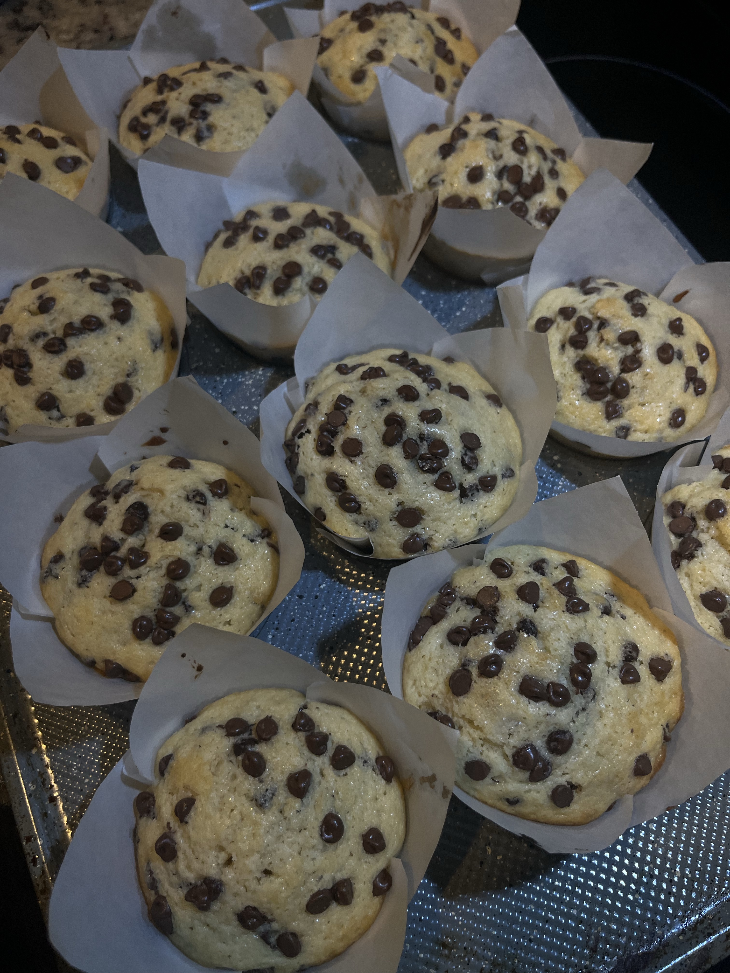 Bakery Style Chocolate Chip Muffins 