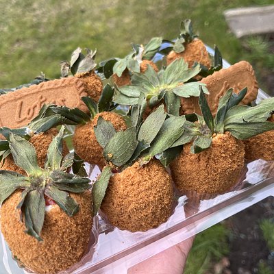 1 Dozen Of Biscoff Strawberries 🍓 