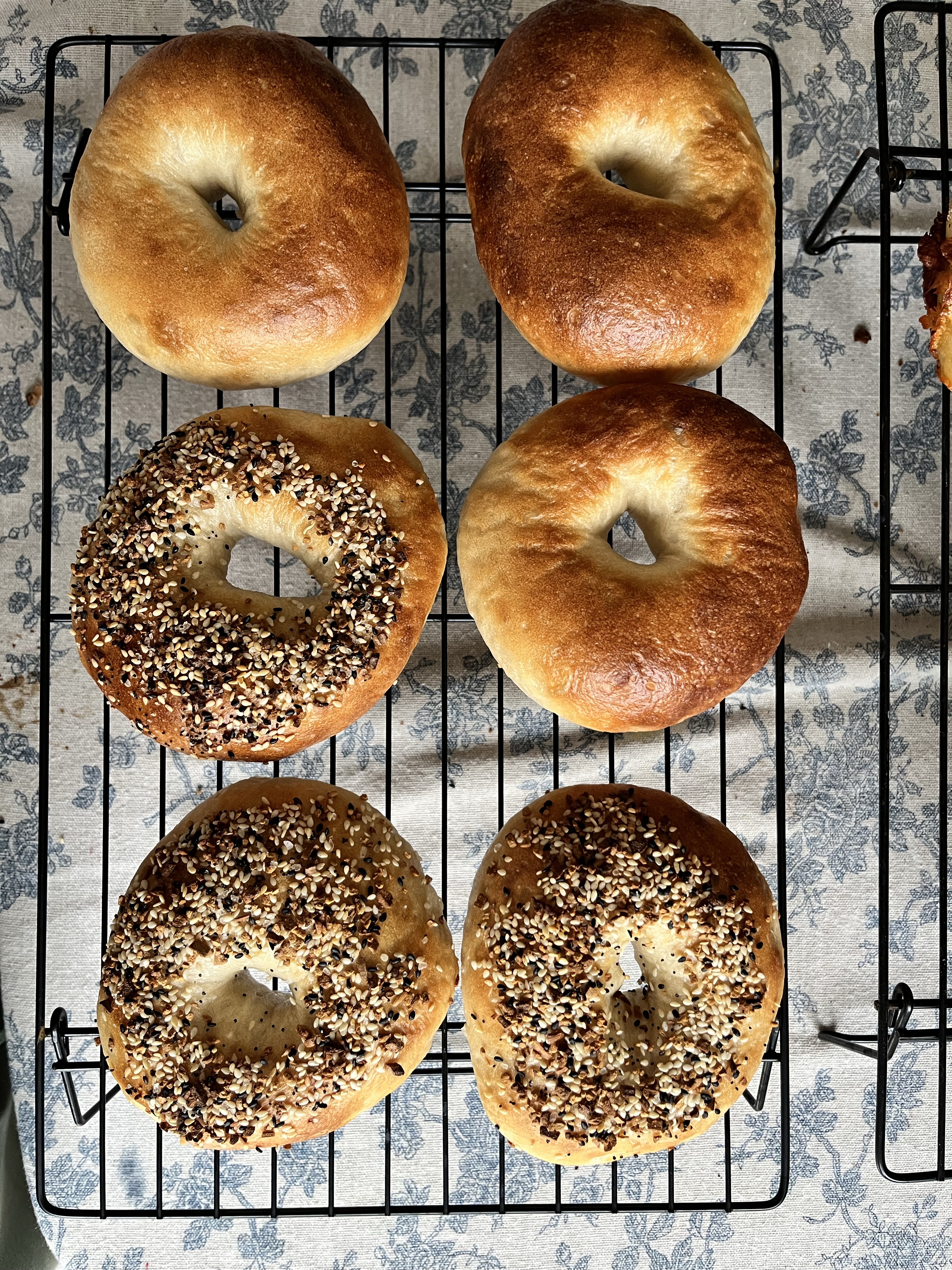 Sourdough Bagels 1/2 Dozen-Everything