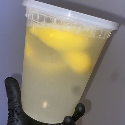 Fresh Lemonade (32oz Fair Style)