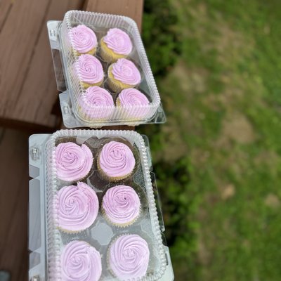 Basic Cupcakes 