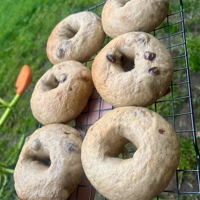 6ct Cinnamon Raisin Bagels