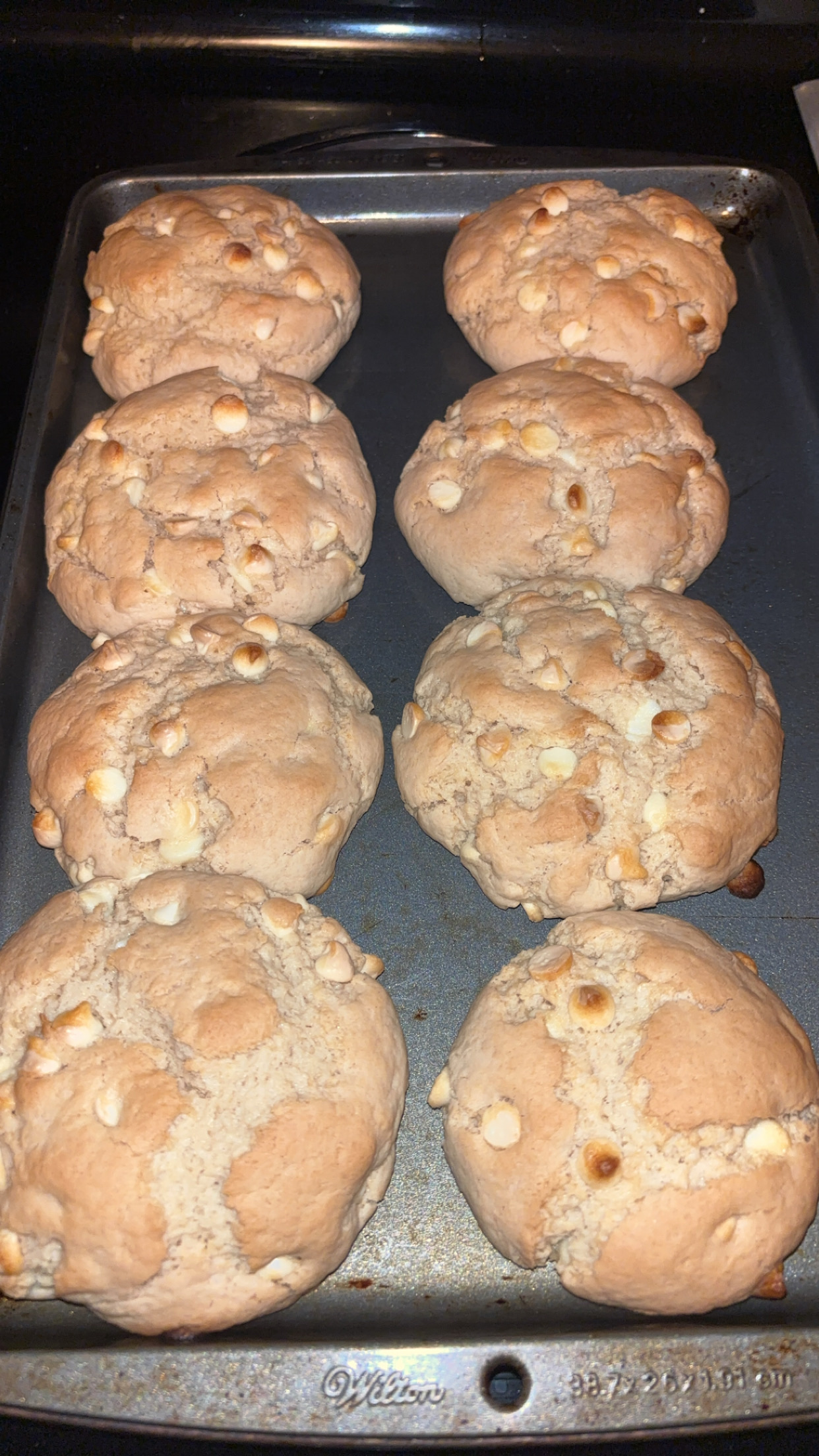 Cream Cheese Chocolate Chip Sourdough Cookies 