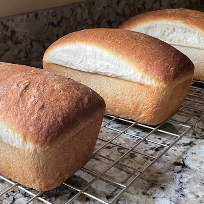 Plain Bread